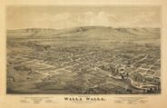 Walla Walla Antique Historic Birdseye Wall Map from 1800s