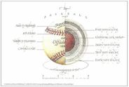 Anatomy of a Baseball Poster