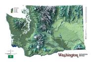 Washington State Elevation Range Map Green and Gray Coloring