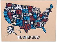 USA Type Map (Multi Color)