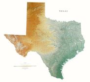 Texas State Wall Map l Raven Maps