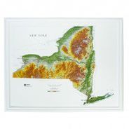 New York Raised Relief Map (Raven colors)