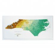 North Carolina Raised Relief Map (Raven colors)