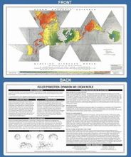 Buckminster Fuller Dymaxion World Map Placemat