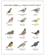 Backyard Birds of the Pacific Northwest l Yardia