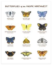 Butterflies of the Pacific Northwest Illustration Wall Poster