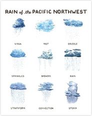 Rain Types of The Pacific Northwest Watercolor Illustration Poster