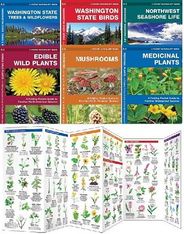Pocket Field Guides Mushrooms Plants Birds Trees Wildlife Laminated
