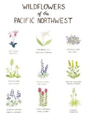 Wildflowers of the Pacific Northwest Illustration Wall Poster