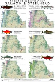 Pacific Northwest Salmon and Steelhead Fish Wall Map Poster