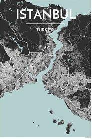 Istanbul City Map Graphic Point Two