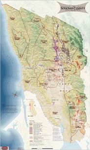 Sonoma County Wine Region Vineyard and AVAs Artistic Wall Map
