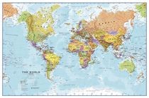 What are political world maps?