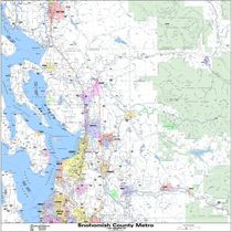 Snohomish Skagit County Metro Wall Map Poster Paper Laminatec Current