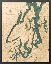 Puget Sound Woodchart 3D