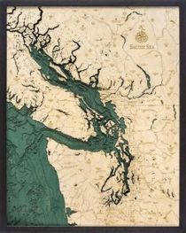 Salish Sea Woodchart 3D