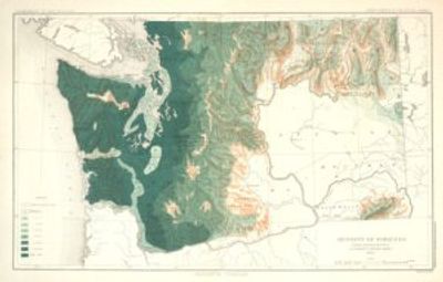 Antique Map of Washington Territory 1883 #2 - Density of Forests