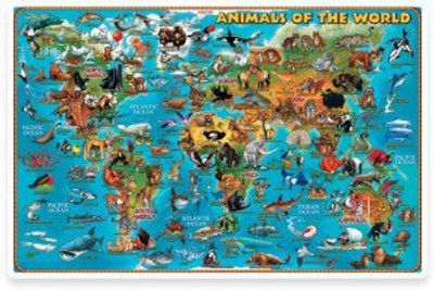 World of Animals Placemat Detail Dino Illustrated Cartoon