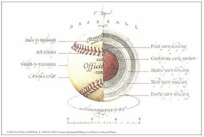 Anatomy of a Baseball Illustration