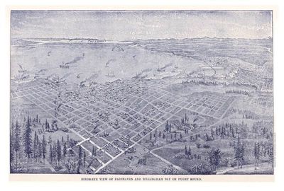 Bellingham Washington 1893 Antique Map