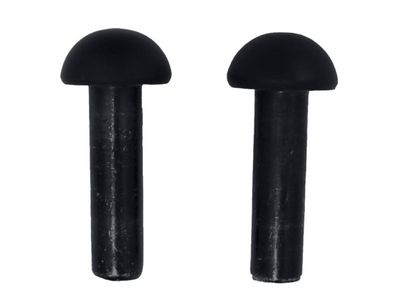 Set of 2 Black Hinge Pins