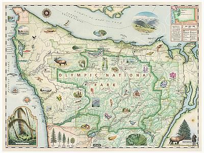 Olympic National Park Hand Drawn Wall Map Illustration Poster