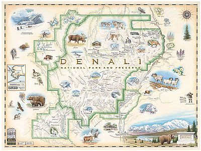 Denali National Park Hand Drawn Wall Map Illustration Poster