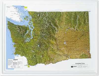 Washington State Raised Relief Map 3D