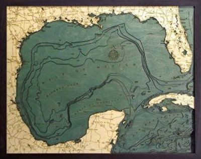 Gulf of Mexico Woodchart 3D