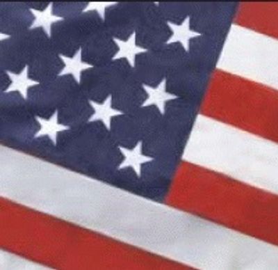 American Flag - Koralex II