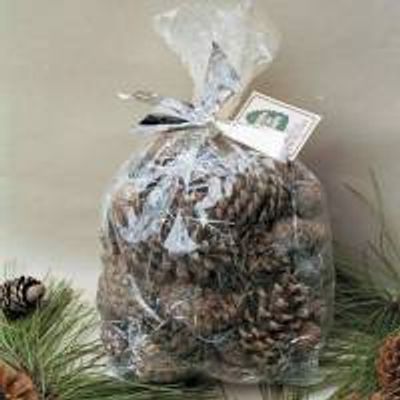 Color Pine Cones in Cello Bag