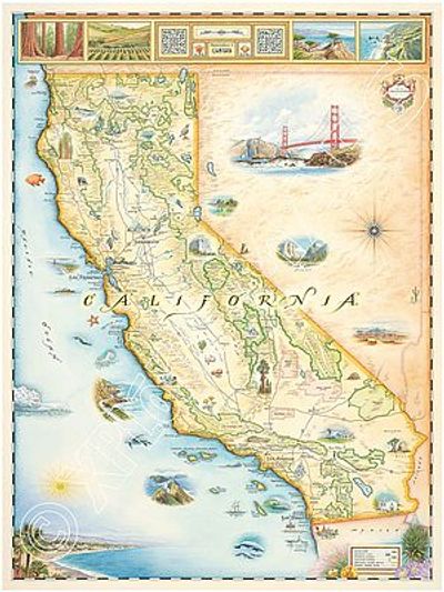 California Hand Drawn Wall Map Illustration Poster