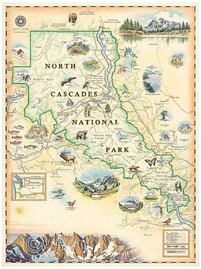 North Cascades National Park Hand Drawn Wall Map Illustration Poster