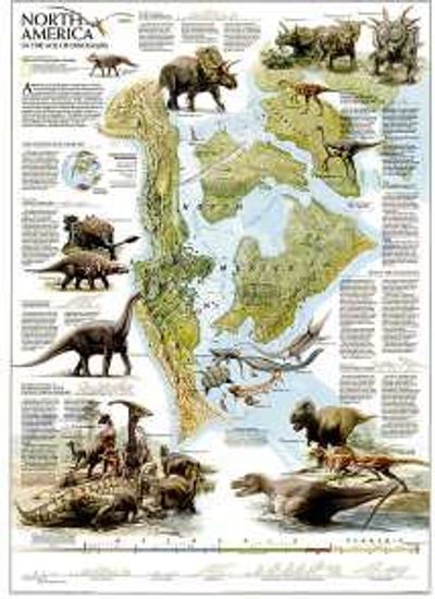 Dinosaurs Fossils Wall Map Poster National Geographic