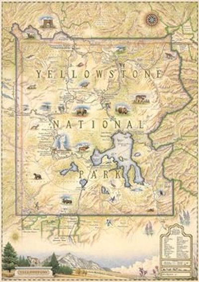 Yellowstone National Park Wall Map l Xplorer Maps