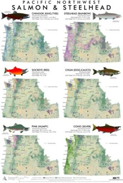 Pacific Northwest Salmon & Steelhead