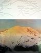 Mount Rainier Panoramic Photograph Poster Detail