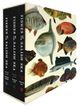 Fishes of the Salish Sea 3 Book Hardcover Set with Illustrations and Species History