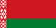 Belarus Flag - Mini