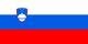 Slovenia Flag - tiny