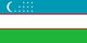 Uzbekistan Flag - tiny