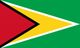 Guyana Flag - tiny