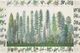 Northwest Conifers Tree Poster of Pacific Northwest Wall Map