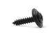 Phillips Oval Head Tapping Screws with Countersunk Washer