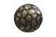 Bronze Decorative Nails - Artisan Collection