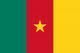 Cameroon Flag - Mini