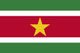 Suriname Flag - tiny