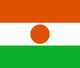 Niger Flag - tiny