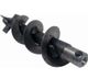 Ravelli Loading Auger