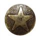 Bronze Star Medallion (Head Size: 7/8" Nail Length: 3/4")